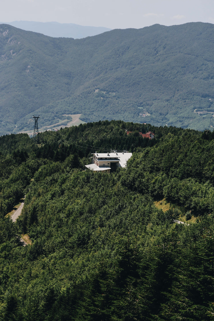 Aerial view of a forested mountain ridge with a building and tower in green and grey tones