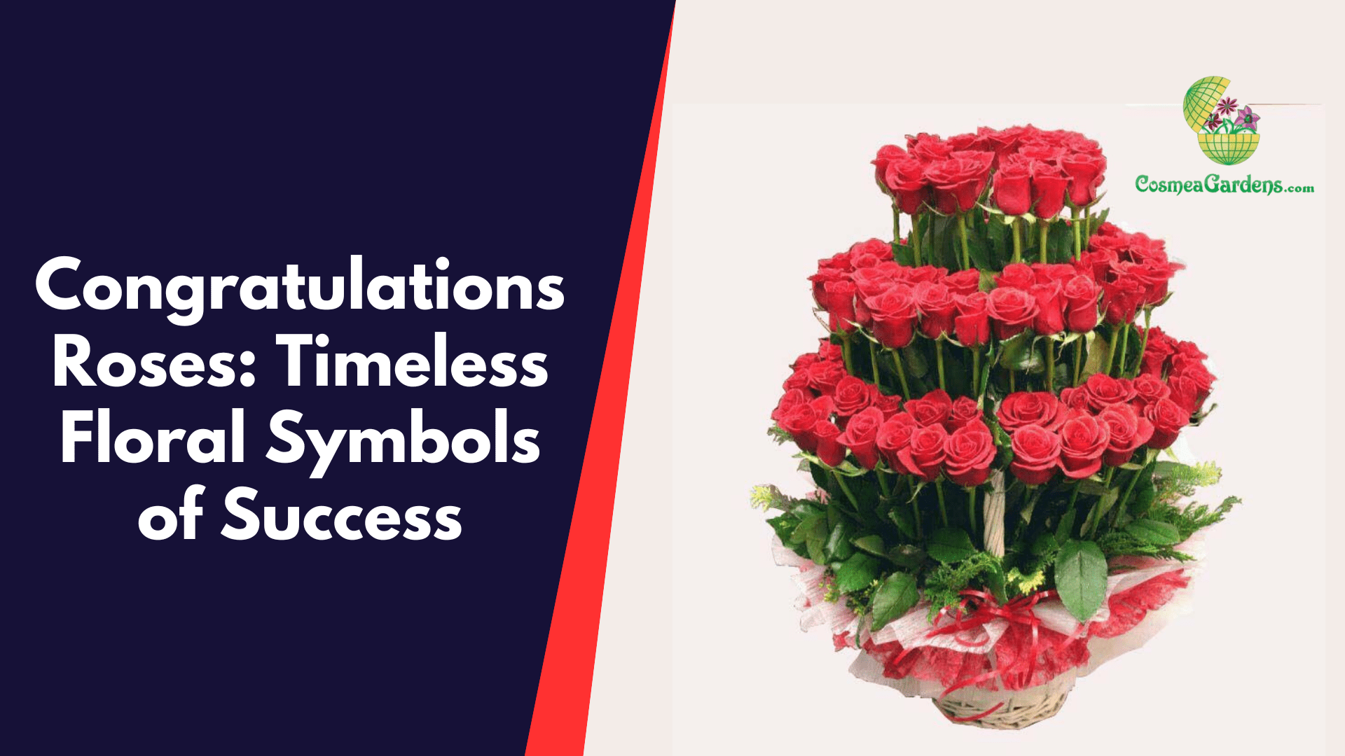 congratulations roses